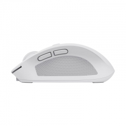 Миша Trust OZZA compact, BT/WL/USB-A, білий 24933_TRUST