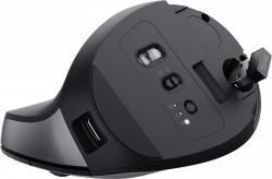 Миша Trust Bayo 2 Ergonomic, BT/WL/USB-A, чорний 25146_TRUST