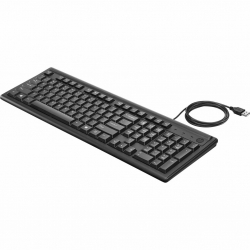 Клавиатура HP Keyboard 100 USB 2UN30AA