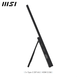 Монитор портативный MSI 15.6" PRO MP165-E6 HDMI, 2xUSB-C, MM, IPS, Case 9S6-3PE50M-001