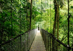 Ноутбук HP Probook 4-G1a 16" WUXGA IPS, AMD R5-230, 16GB, F1TB, UMA, Win11P, сріблястий B9ZJ6ET