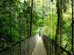 Ноутбук HP Probook 4-G1a 16" WUXGA IPS, AMD R5-230, 16GB, F512GB, UMA, DOS, сріблястий B9ZJ7ET