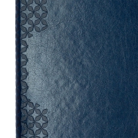 Дневник недатированный VIENNA, A5, синий, штуч.кожа/поролон, 336 стр. Buromax BM.20180-02