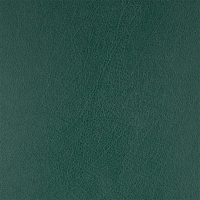 Дневник недатированный STRONG, A5, зеленый, бумвинил/поролон, 336 стр. Buromax BM.20220-04