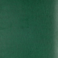 Щоденник недатований PRIME, A5, зелений, штуч.шкіра/поролон, 336 стор Buromax BM.20380-04