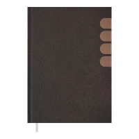 Щоденник недатований INDEX, A5, коричневий Buromax BM.2041-25