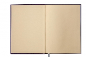 Щоденник недатований DIAMANTE, A5, 288 стор. малиновий Buromax BM.2047-29