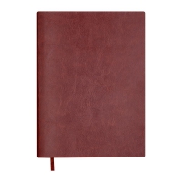 Дневник недатированный IDEAL, A5, коричневый, штуч.кожа, 336 стр. Buromax BM.20490-19