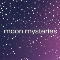 Щоденник недатований поліграфічний ONLY, A5, сливовий, 336 стор Buromax BM.20540-48