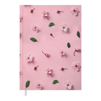 Щоденник недатований PROVENCE, A5, рожевий Buromax BM.2066-10