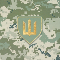 Щоденник недатований MILITARY, A5, світло-зелений, штуч.шкіра, 336 стор Buromax BM.20700-15