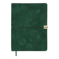 Щоденник недатований VELOUR, A5, зелений, штуч.шкіра, 336 стор Buromax BM.20770-04