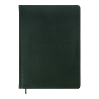 Дневник недатированный BRAVO, L2U, А4, зеленый, искусственная кожа/поролон Buromax BM.2097-04