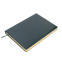 Щоденник недатований BRAVO, L2U, А4, зелений, штуч.шкіра/поролон, 336 стор. Buromax BM.20970-04