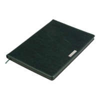 Дневник недатированный SALERNO, L2U, А4, зеленый, искусственная кожа Buromax BM.2099-04