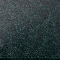 Щоденник недатований SALERNO, L2U, А4, зелений, штуч.шкіра, 336 стор Buromax BM.20990-04