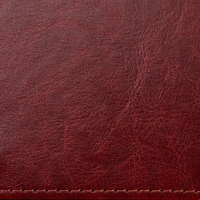 Дневник недатированный SALERNO, L2U, А4, коричневый, штуч.кожа, 336 стр. Buromax BM.20990-25