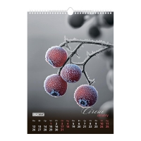 Календар настінний 2026 р., А3, 1 пружина, Emphasis on color Buromax BM.210602
