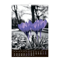 Календар настінний 2026 р., А3, 1 пружина, Emphasis on color Buromax BM.210602