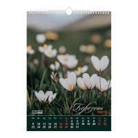 Календар настінний 2026 р., А3, 1 пружина, Wild flowers Buromax BM.210605