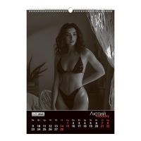 Календар настінний 2026 р., А2, 1 пружина, Women Buromax BM.210653