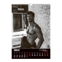 Календарь настенный 2026 г., А2, 1 пружина, Men Buromax BM.210654