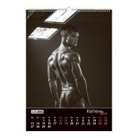 Календарь настенный 2026 г., А2, 1 пружина, Men Buromax BM.210654