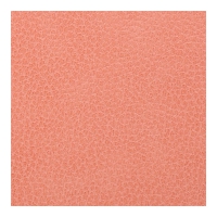 Дневник датированный 2026 CHARME, A5, ЛОСОСЕВЫЙ, штуч.кожа Buromax BM.21146-26