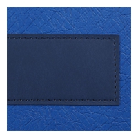 Щоденник датований 2026 PRESTIGE, A5, синій, штуч.шкіра Buromax BM.21147-02