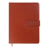 Дневник датированный 2024 SOLAR, A5, коричневый, штуч. кожа/поролон Buromax BM.2125-25