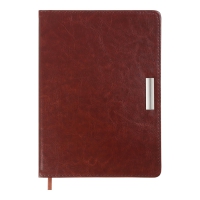 Дневник датированный 2024 SALERNO, A5, коричневый, штуч. кожа Buromax BM.2133-25
