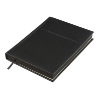 Дневник датированный 2024 ORION, A5, черный, штуч. кожа/поролон Buromax BM.2150-01