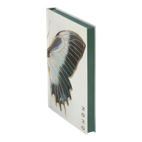 Дневник датированный полиграфический SPOLETO 2026, A5, темно-зеленый Buromax BM.2168-16