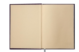 Ежедневник датированный 2019 ROMANTIC, A5, 336 стр., бирюзовый Buromax