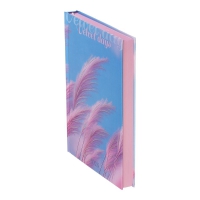 Дневник датированный полиграфический ONLY 2026, A5, светло-розовый Buromax BM.2183-43