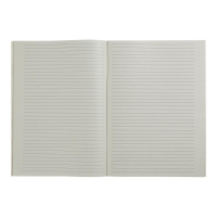 Зошит канцелярський А4, 48арк. JOBMAX, лінія, газетна Buromax BM.2435