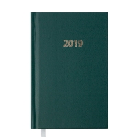 Ежедневник датированный 2019 STRONG, A6, 336 стр., зеленый Buromax