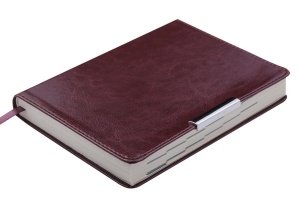 Ежедневник датированный 2019 SALERNO, A6, 336 стр., коричневый Buromax