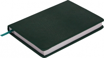 Щоденник недатований AMAZONIA, A6, 288стр. зелений Buromax BM.2612-04