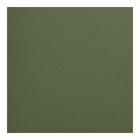 Еженедельник датирован 2026 карман. MORANDI STYLE, 85*153, зеленый, штуч. кожа Buromax BM.2897-04