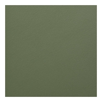 Еженедельник датированный 2026 карман. MORANDI STYLE, 153*87, зеленый, штуч. кожа Buromax BM.2909-04