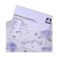 Папка-конверт DL на кнопці, DREAM ARABESKI, напівпрозора, світло-синя Buromax BM.3853-30