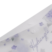 Папка-конверт DL на кнопці, DREAM ARABESKI, напівпрозора, світло-синя Buromax BM.3853-30