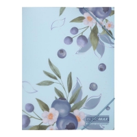 Папка А5 на гумках, BLUEBERRY ARABESKI, напівпрозора, морська хвиля Buromax BM.3907-17