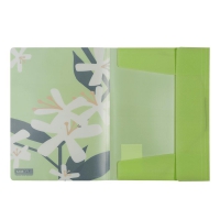 Папка А4 на гумках, PLUMERIA ARABESKI, напівпрозора, салатова Buromax BM.3908-15