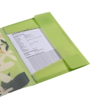 Папка А4 на гумках, PLUMERIA ARABESKI, напівпрозора, салатова Buromax BM.3908-15
