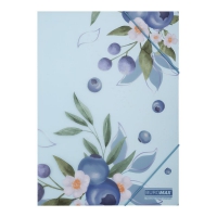 Папка А4 на резинках, BLUEBERRY ARABESKI, полупрозрачная, морская волна Buromax BM.3908-17