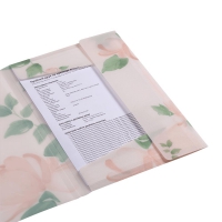 Папка А4 на резинках, RAMIRA ARABESKI, полупрозрачная, коралловая Buromax BM.3908-27