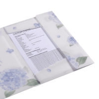 Папка А4 на гумках, DREAM ARABESKI, напівпрозора, світло-синя Buromax BM.3908-30