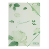 Папка А4 на гумках, JASMINE ARABESKI, напівпрозора, м'ятна Buromax BM.3908-38